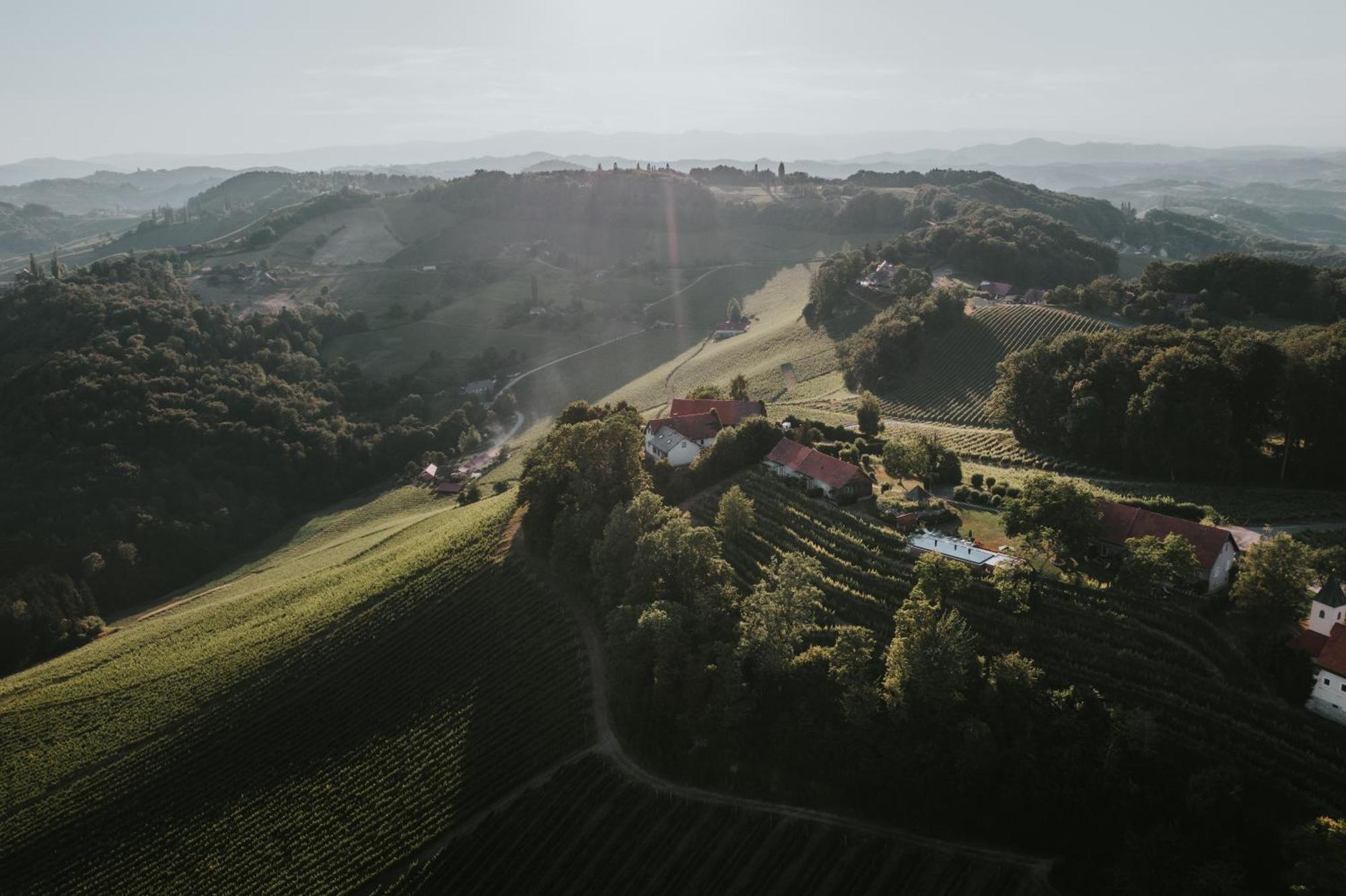 Villa Winzarei, Weingut Tement à Berghausen Extérieur photo