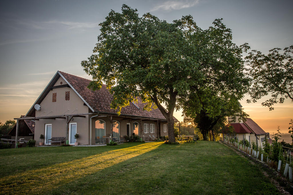 Villa Winzarei, Weingut Tement à Berghausen Extérieur photo